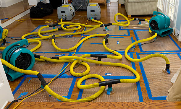 Professional Sewage Cleanup technician working in Linwood, MA